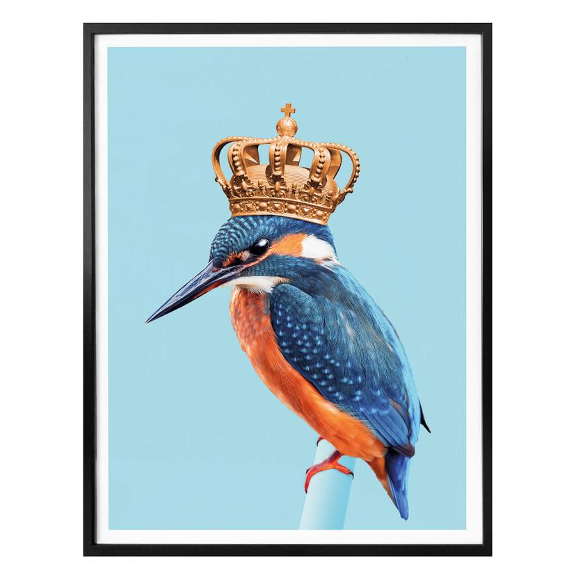 Póster Suelto - Kingfisher