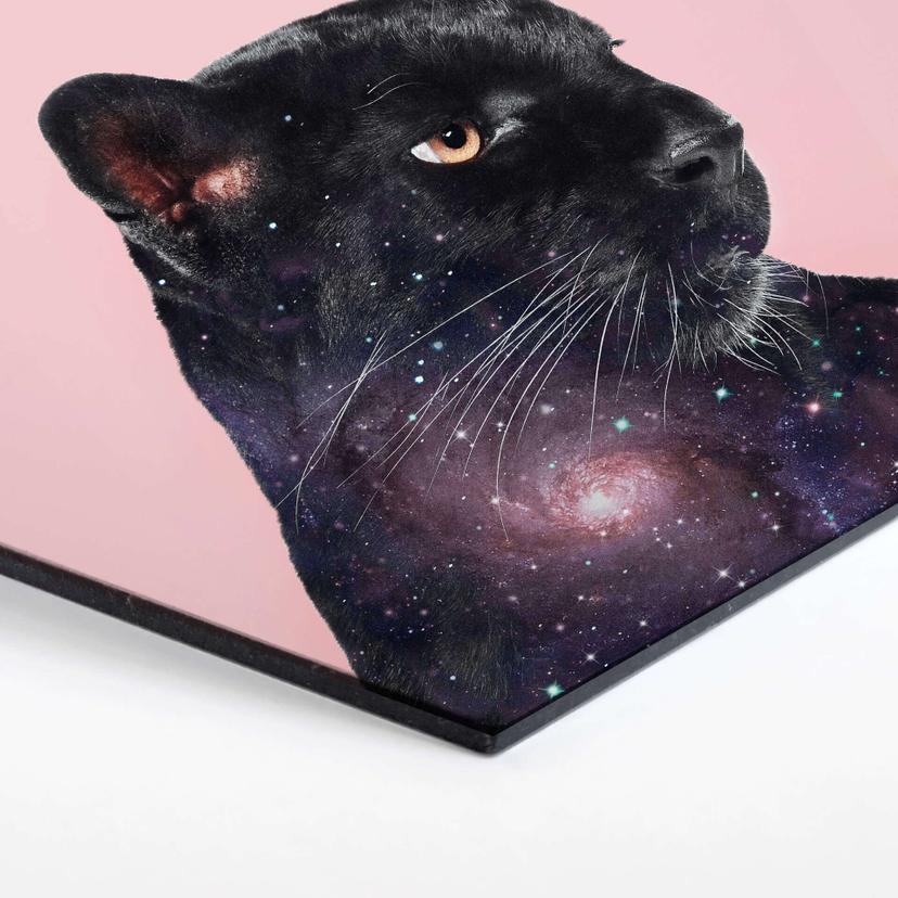 Esagoni in Alu-dibond Loose – Galaxy Panther