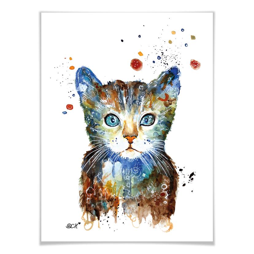 Affiche Hagenmeyer - Petit chat