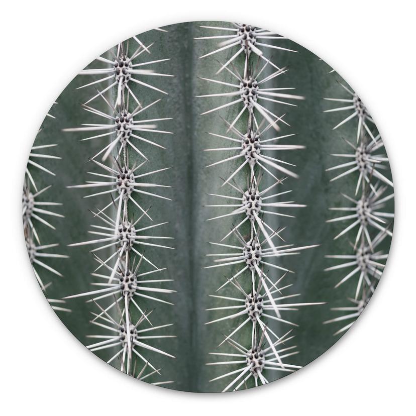 Tableau sur alu-Dibond rond 1X Studio - Cactus