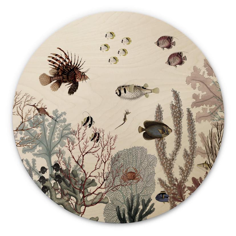 Billede af træ Sir Edward - Roaring Reef - Rundt