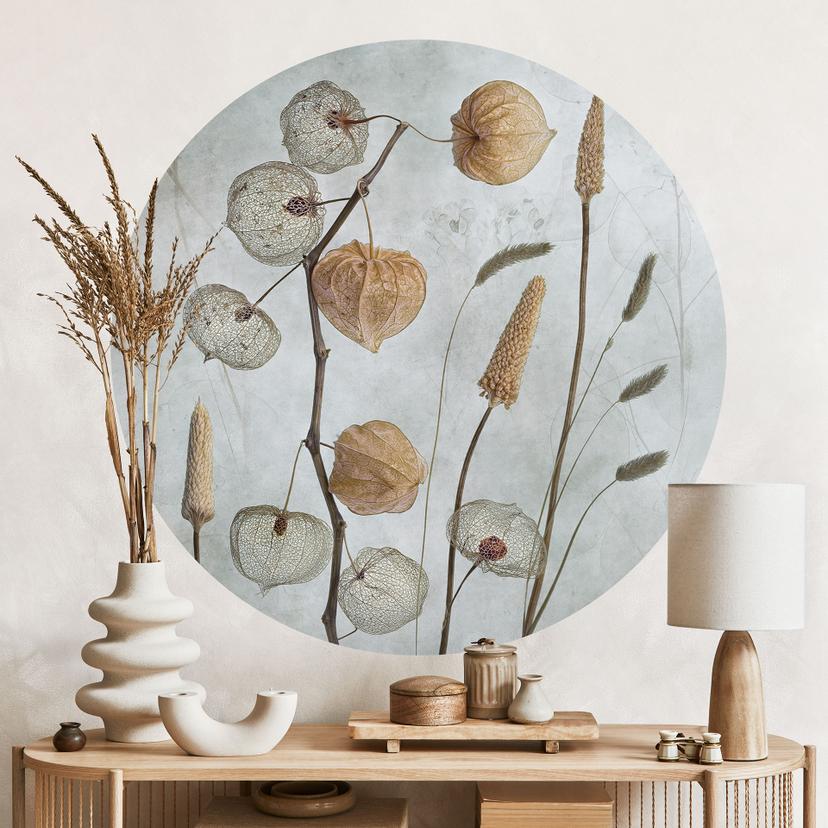Wall Sticker Tørrede lanterneblomster - Disher