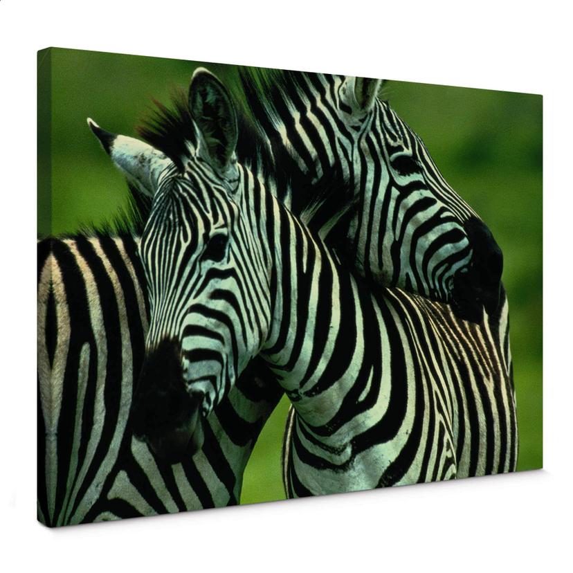 Tableau sur toile - NG Couple de zèbres