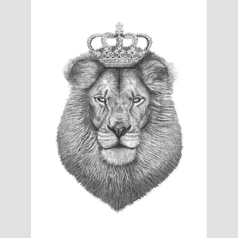 Fototapete Korenkova - The Lion King