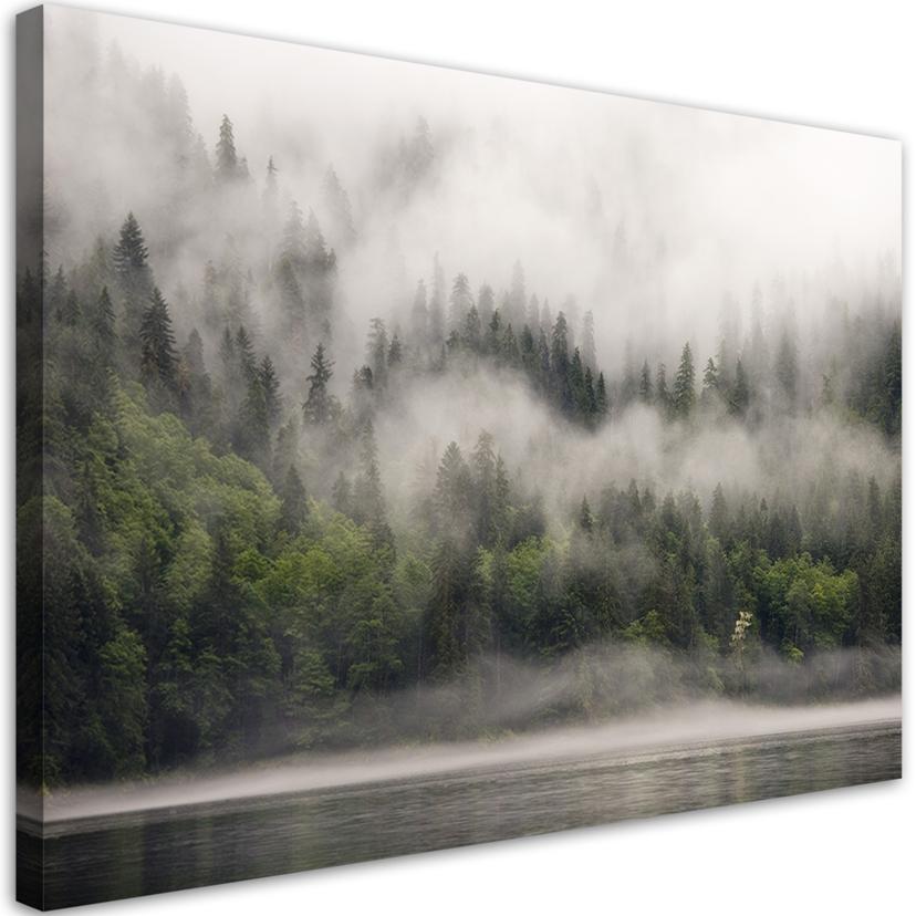 Canvasbillede, Skov i tåge