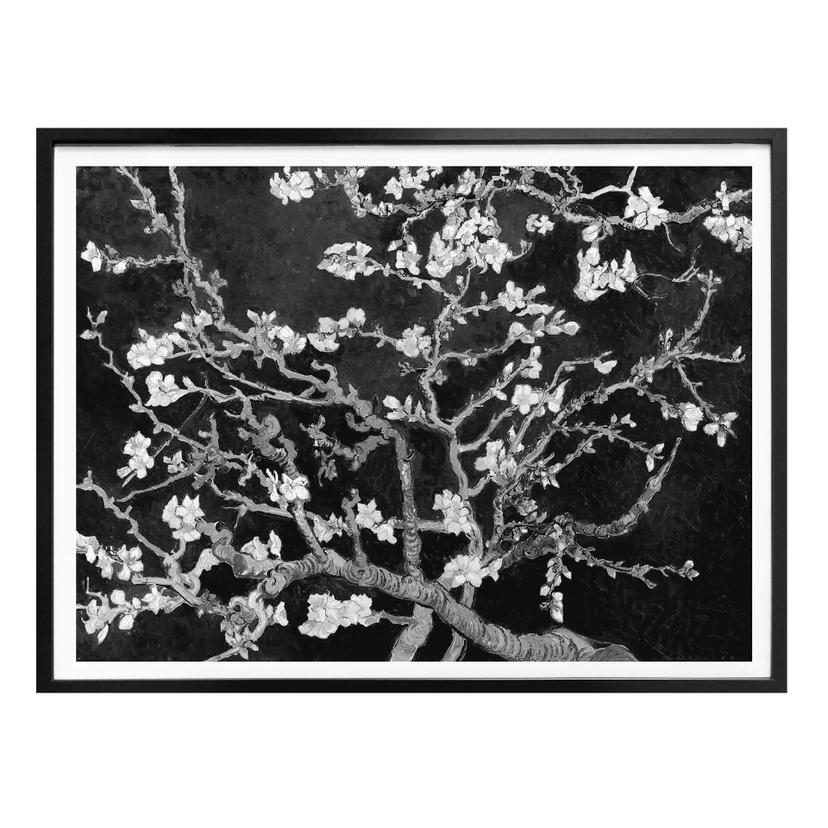 Plakat - van Gogh - Mandelblomst - sort