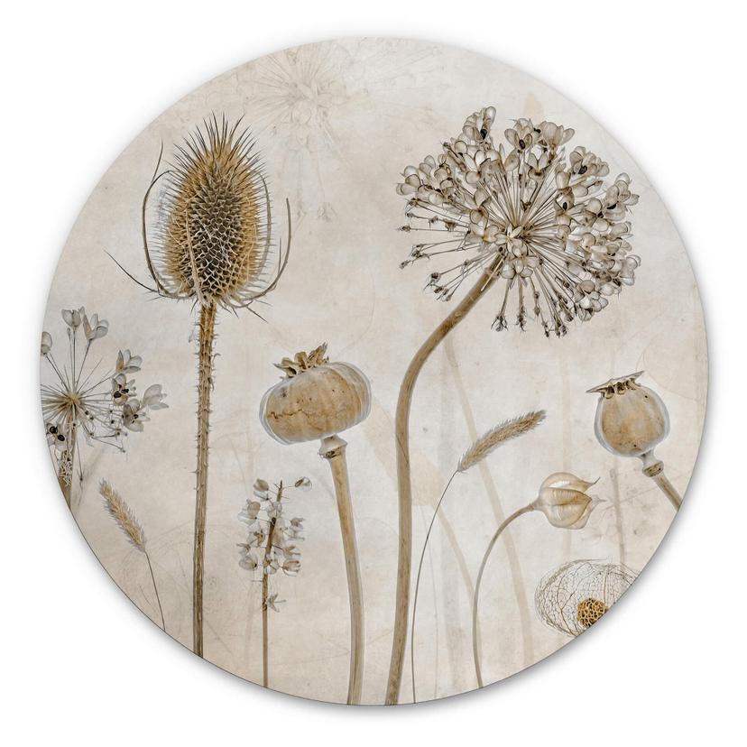 Tableau sur alu-Dibond rond Disher - fleurs séchées