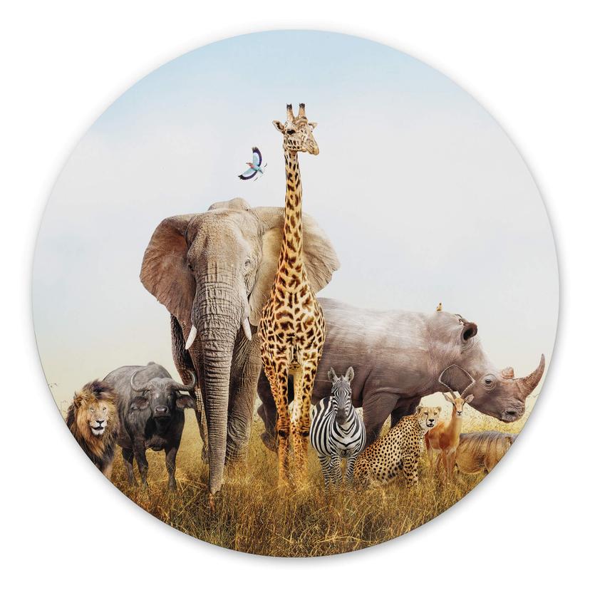 Tableau sur alu-Dibond rond Animaux africains
