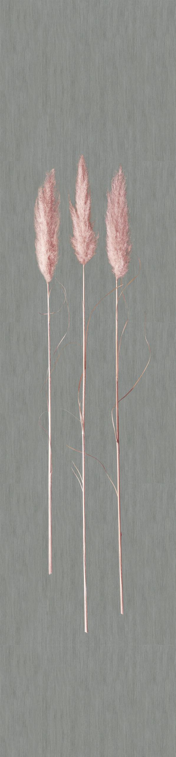 Non-woven tapet, non-woven tapet Naturlig Opulens Grå Grafisk 3,30 x 0,70 cm