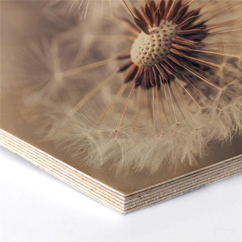 Hexagone - Placage bois de bouleau Delgado - Pissenlits