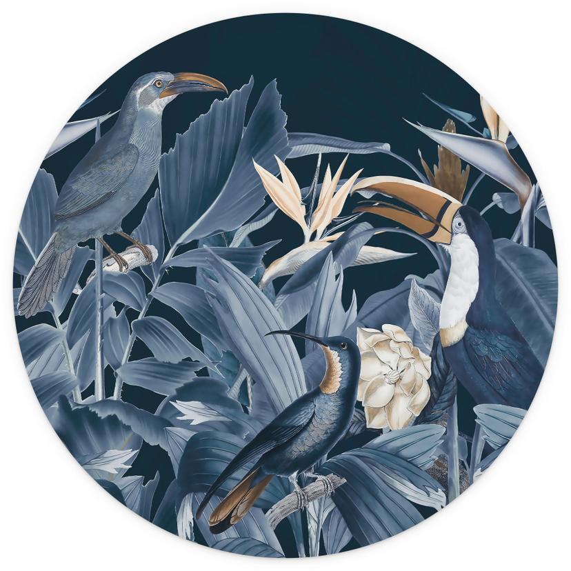 Behangcirkel Tropische vogels in het bos in de nacht - Haase - vliesbehang/zelfklevend vliesbehang