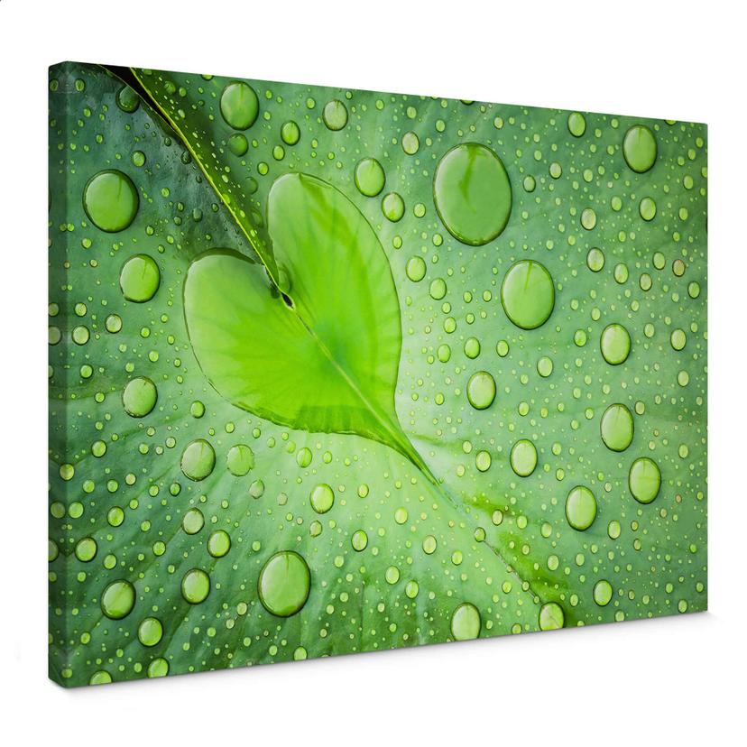 Foto en lienzo - Corazón de gotas de agua sobre una hoja verde