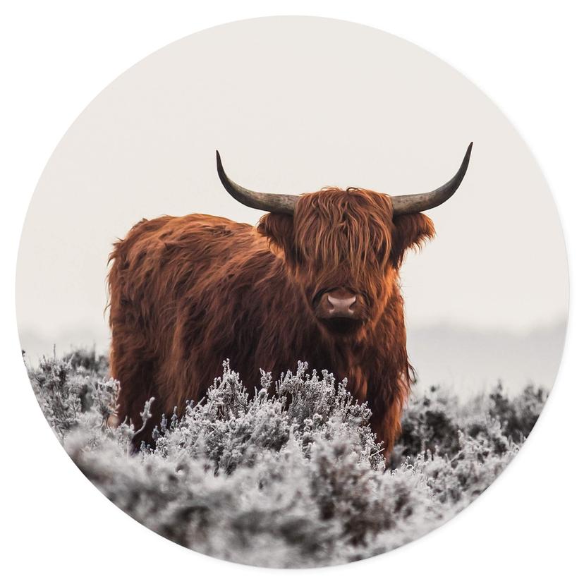 Adesivo murale van den Helm - Highlander