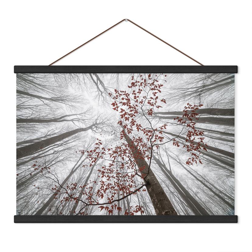 Textielposter Bomen - Boomkronen met rode bladeren - Coman