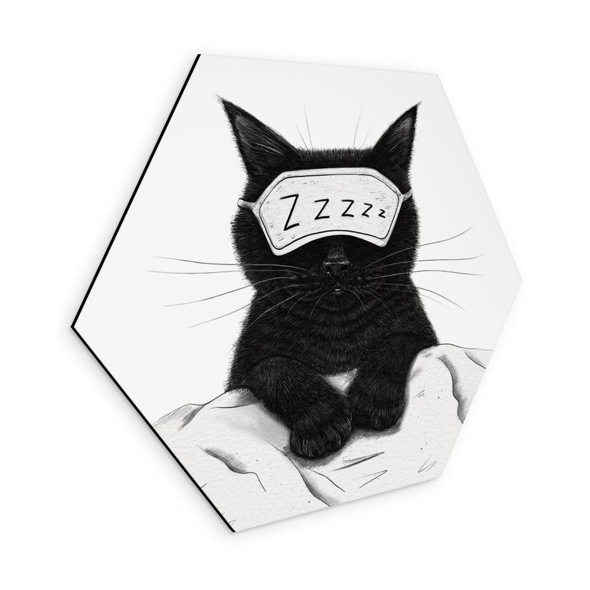 Hexagon Wandbild Schwarze Katze mit Schlafmaske - Korenkova - Alu-Dibond