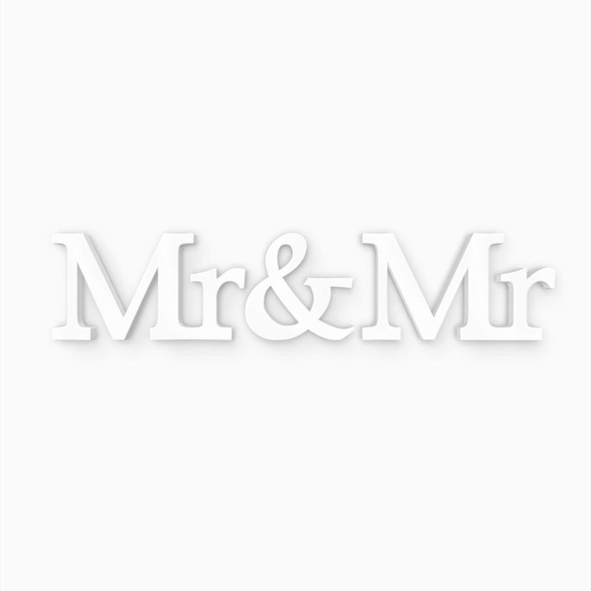 Scritta 3D - Mr & Mr
