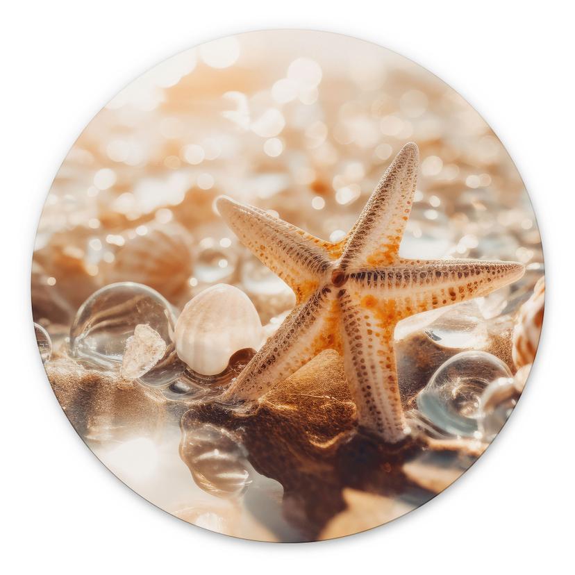 Billede Skaller på en solrig strand - Treechild - rund – print på aluminium (Alu-Dibond)
