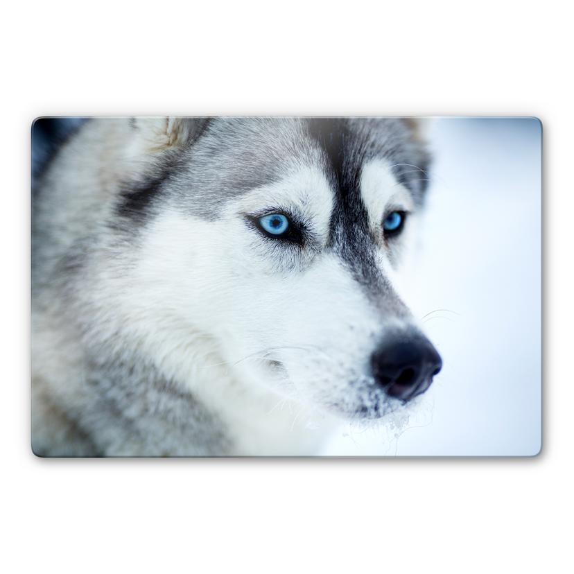 Tableau en verre - Yeux bleus