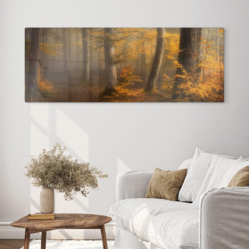 Glasbild Goldene Blätter im nebligen Wald - Maier - Panorama