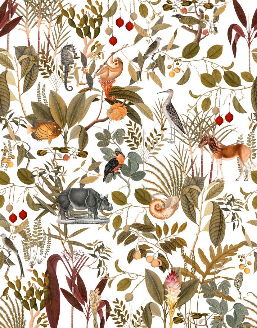 Papier peint photo Collage safari avec okapi, rhinocéros et oiseaux sur fond clair 2,7 x 2,12 m