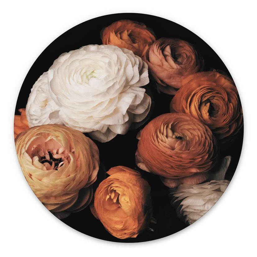 Tableau sur alu-Dibond rond FiguraNYC Photographie - Renoncule
