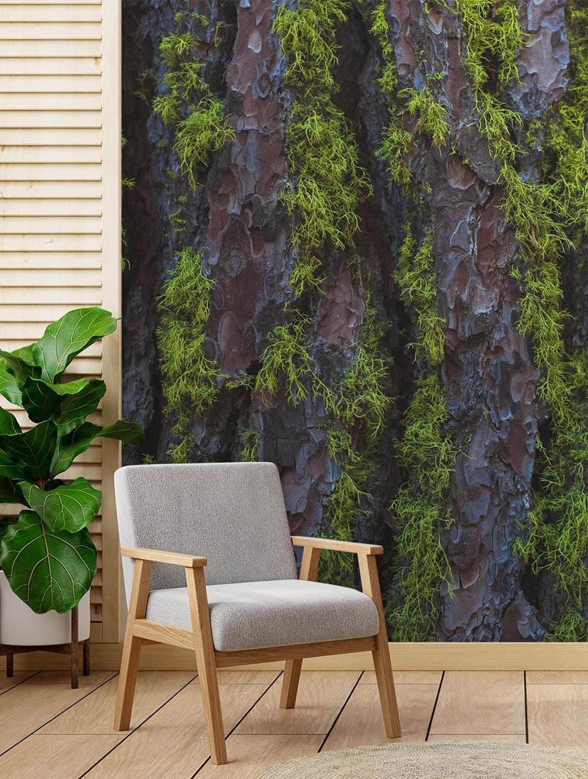 Fototapete, Holz Rinde Textur