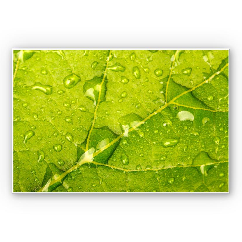 Tableau Forex - Perles d'eau