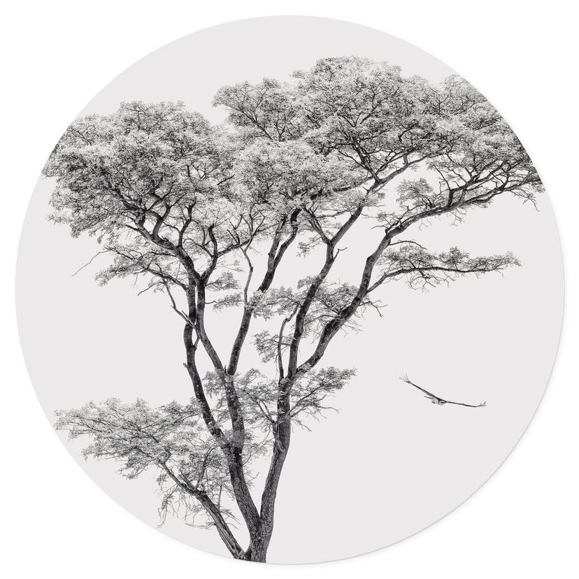 Adesivo murale Albero minimalista in un paesaggio tranquillo - Farina - Rotondo
