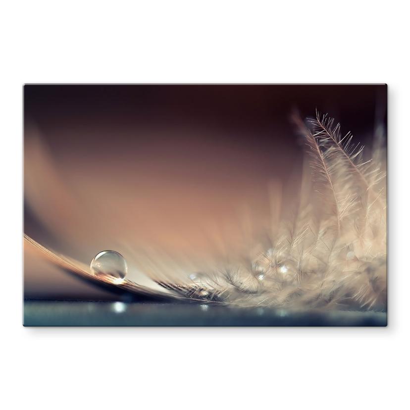 Pannello paraschizzi Storia di una goccia d'acqua | Pura bellezza di una piuma - Dmitry