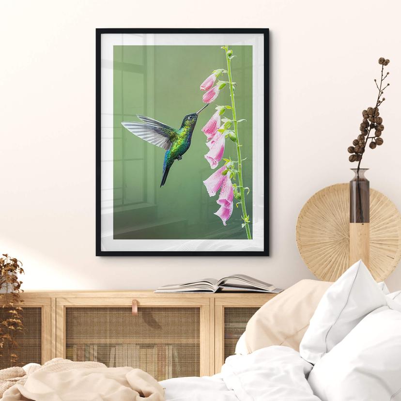 Poster van Duijn - Kolibri i rosa blomma magi