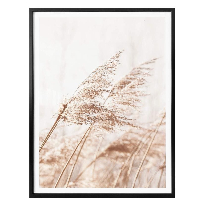 Plakat - Windy Grass