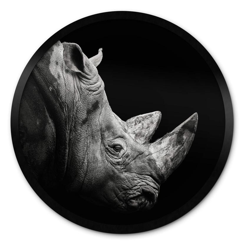 Plakat Meermann - Rhino