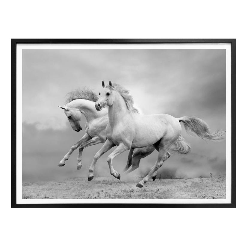 Póster Caballos al galope