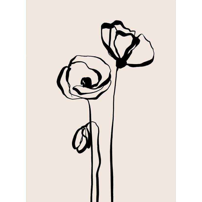Blommig Fototapet väggmålning Line Art Två vallmor - Cats & Dotz