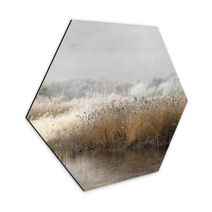 Hexagone - Alu-Dibond Talen - Matin hivernal