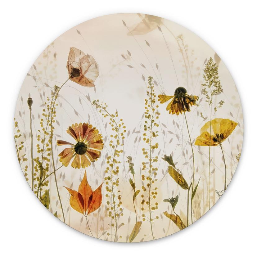 Fototapet Vilde engblomster i sollyset - Talen - rund – print på aluminium (Alu-Dibond)