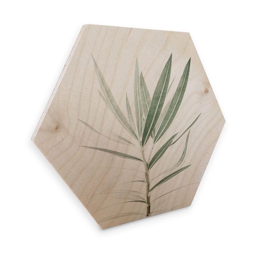 Hexagon Hout Sisi & Seb - Oleander