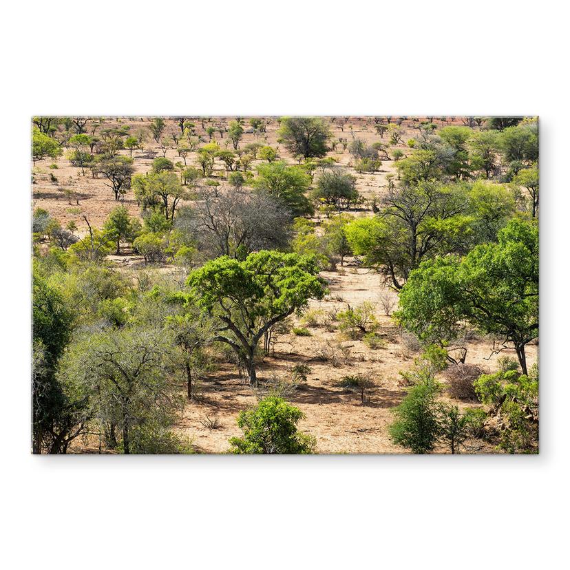Pannello paraschizzi Paesaggio della savana in Africa - Hugonnard