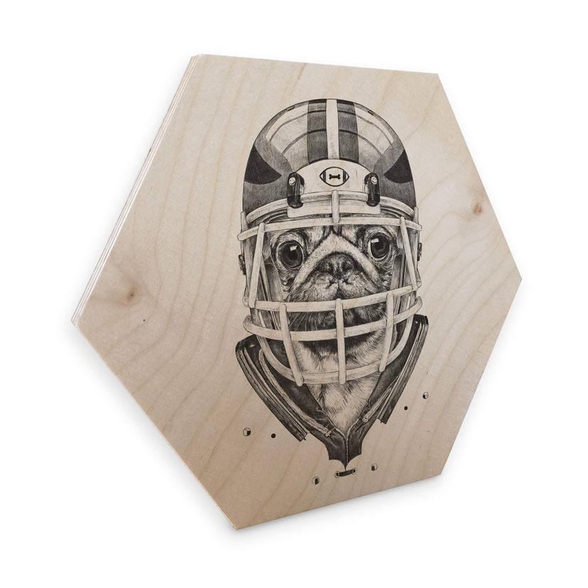 Hexagon Berkenfineer Kools - American Pug Football