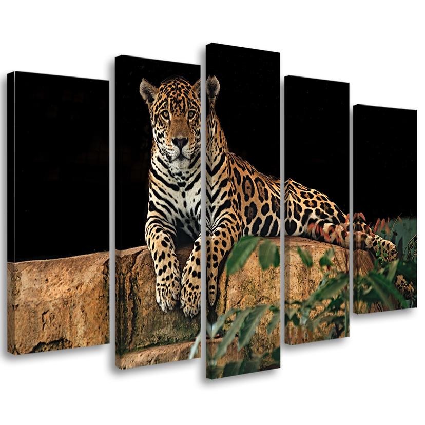 5 stykke lærredsprint Leopard Panther Cat Animal