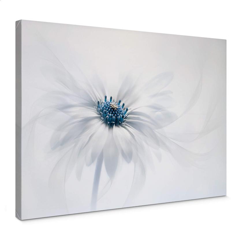 Canvasbillede - Parker - Frozen Flower