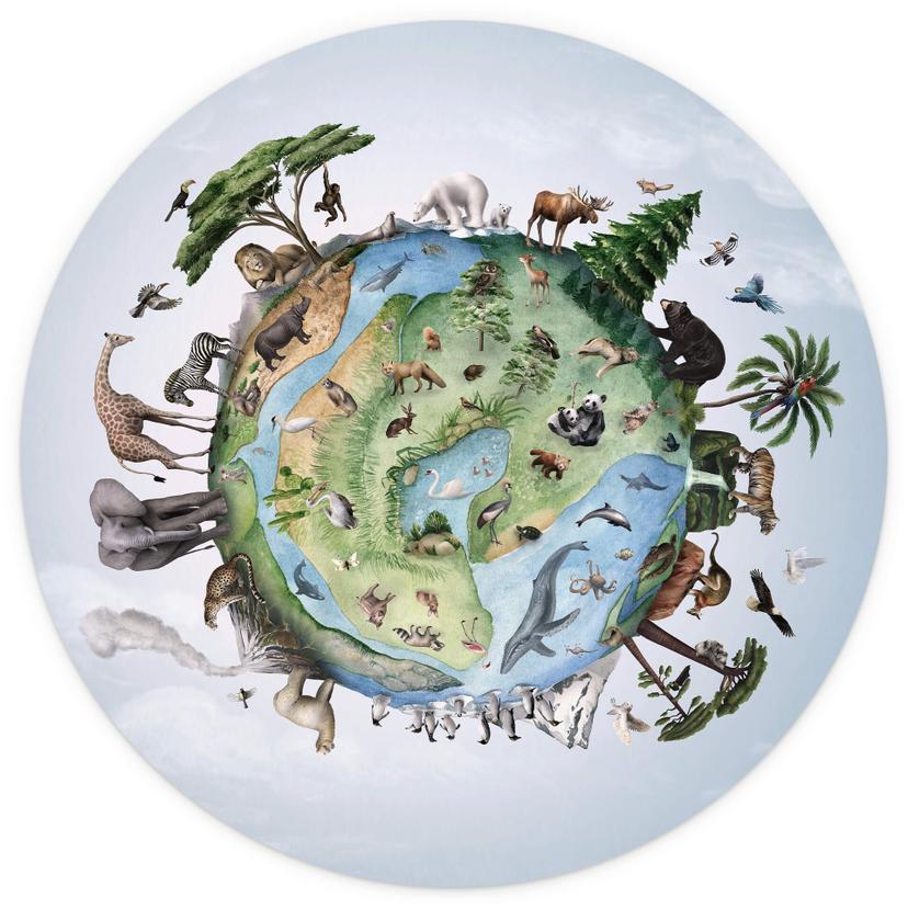 Fotomurale tondo Kikki Belle - Il mondo degli animali - carta da parati in tessuto non tessuto/carta