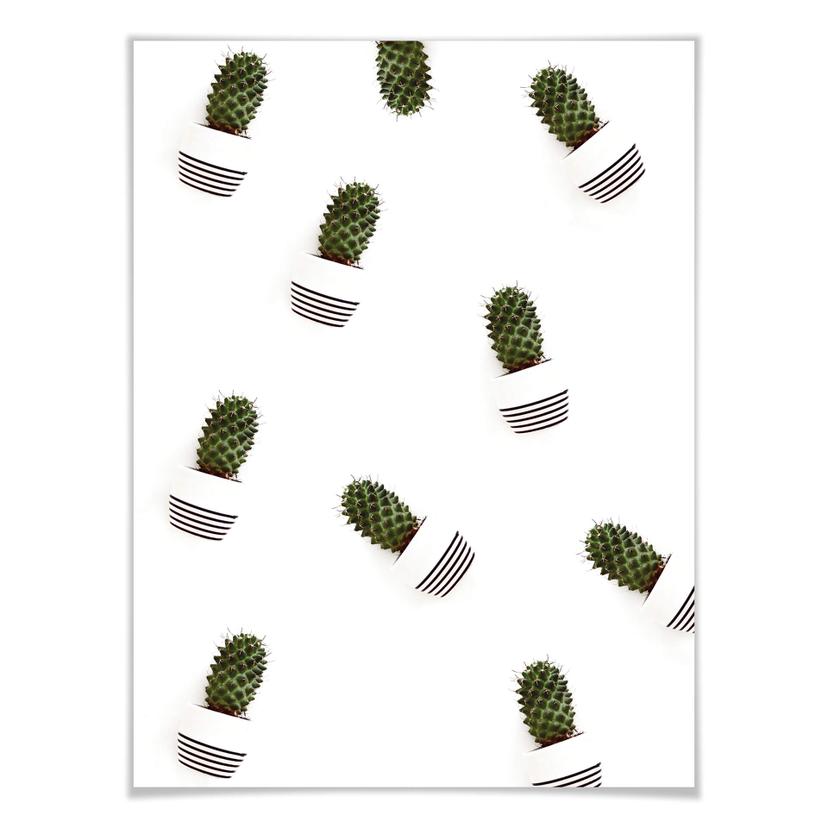 Poster Mon petit cactus - des cactus