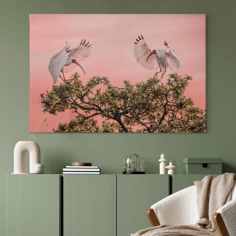 Stampa su tela Zhao - Birds at Sunset