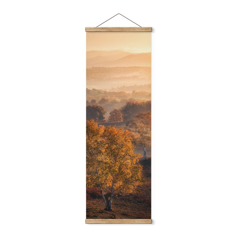Tekstil plakat Birketræer i den gyldne morgendug - Cui - Panorama