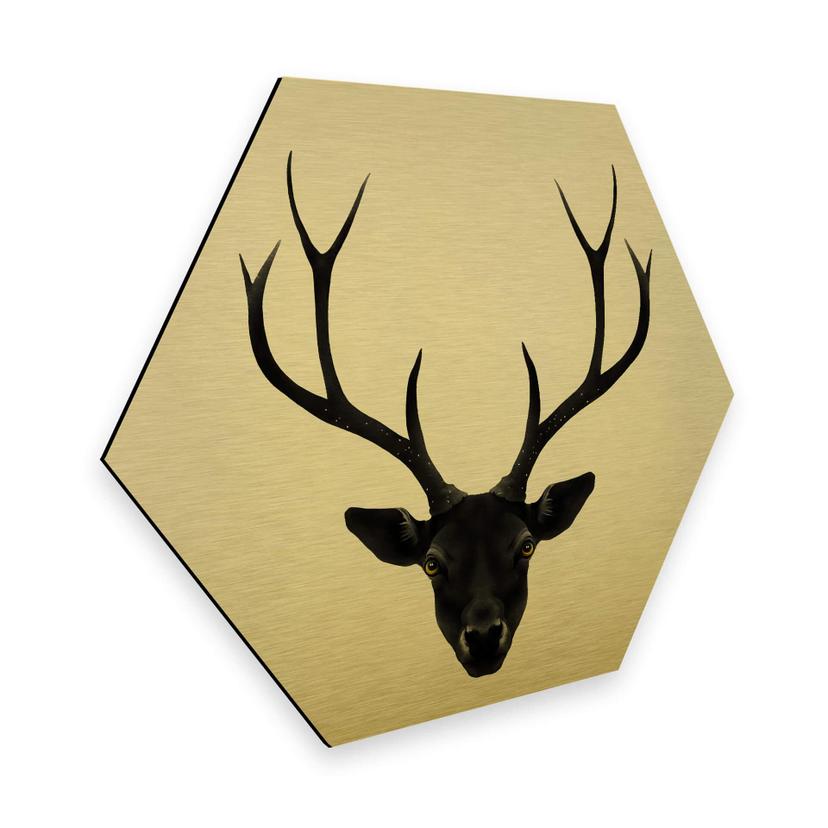Hexagone - Tableau sur alu-Dibond-Effet doré - Ireland - Cerf noir