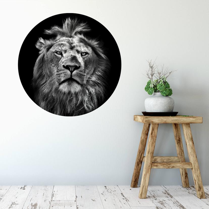 Muursticker rond Leeuw