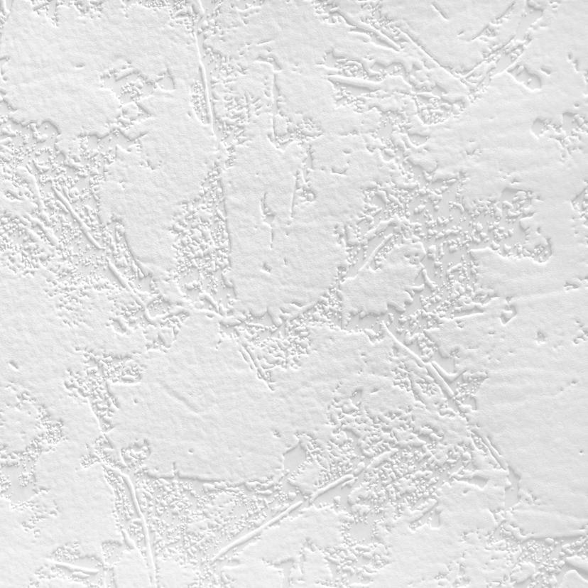 Papier peint intissé couvrant A.S. Création Meistervlies Pro Protect 2 blanc