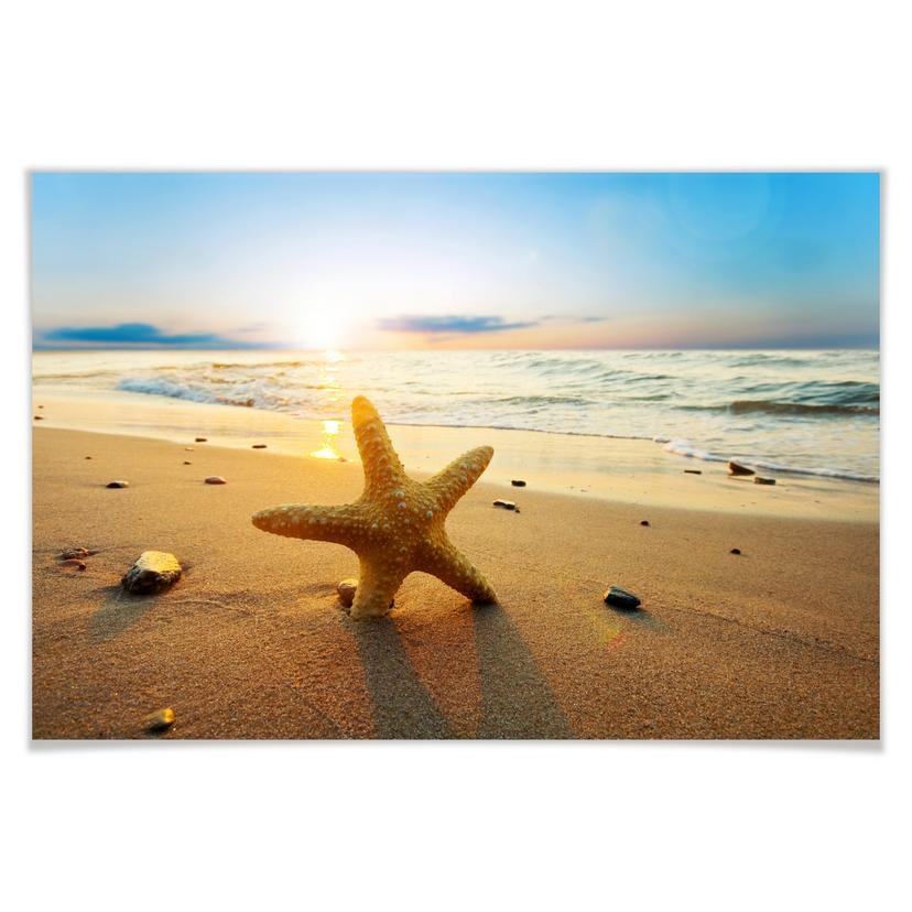 Poster - Étoile de mer dans le sable