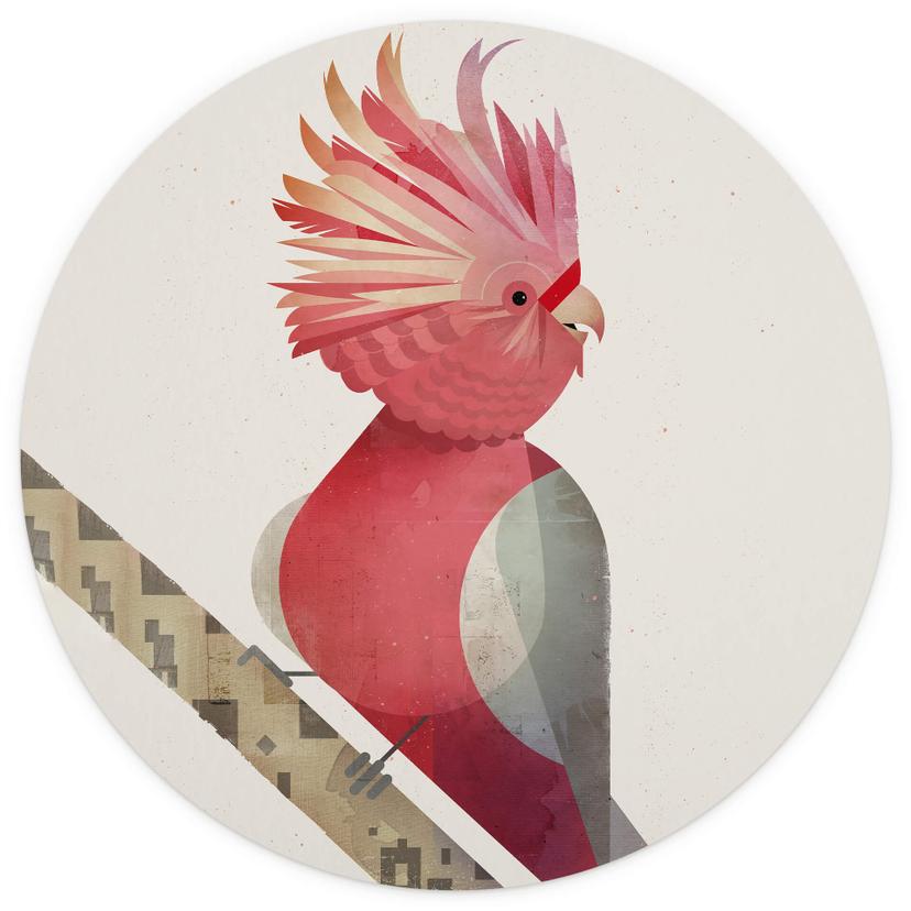 Fotomurale Braun - Cacatua rosa - tondo - carta da parati in tessuto non tessuto/carta da parati in